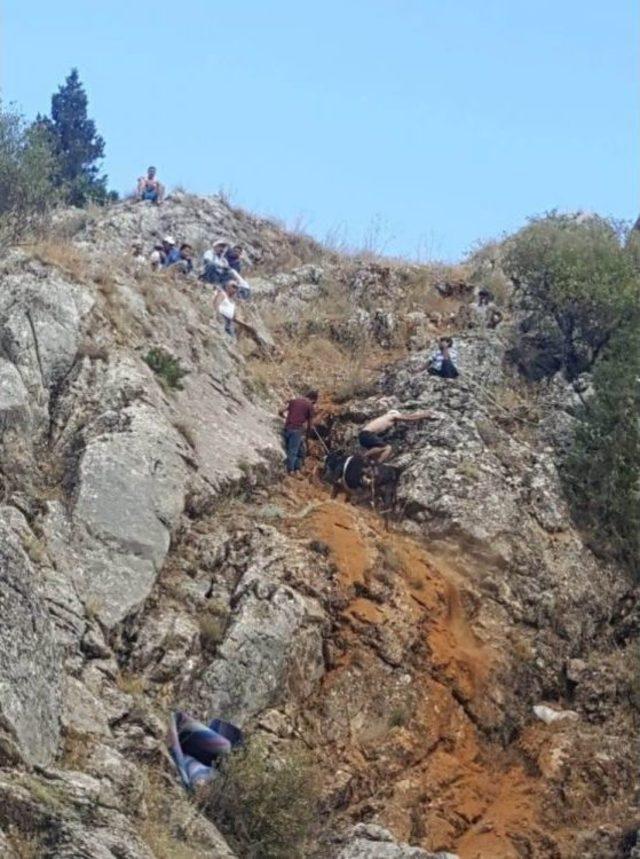 Pikniğe Gittiler, 10 Gün Önce Firar Eden Kurbanlıklarını Buldular