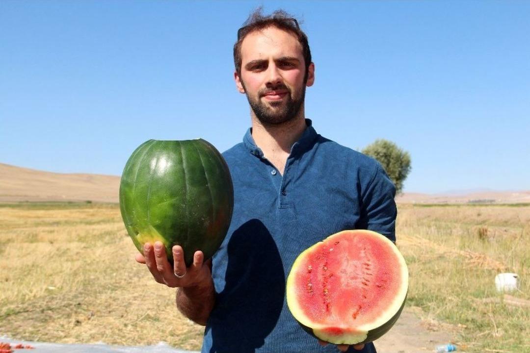 Van&rsquo;da Doğal Yollarla Islah Edilen Yerli Tohumlar &Uuml;r&uuml;n Verdi