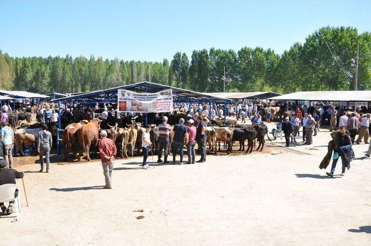 Kurban Pazarı Hareketlendi G2