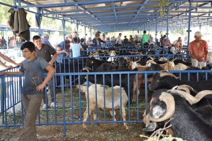 Kurban Pazarı Hareketlendi G3