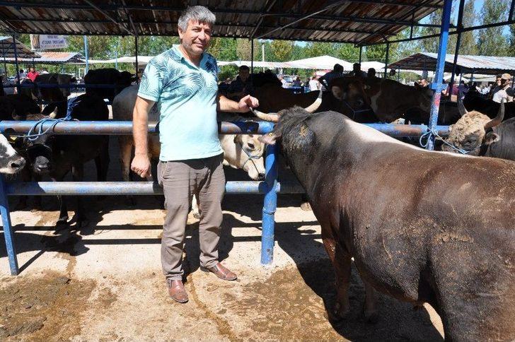 Kurban Pazarı Hareketlendi G5