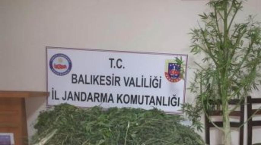 Sındırgı&rsquo;da 11 Kilo Esrar Ele Ge&ccedil;irildi