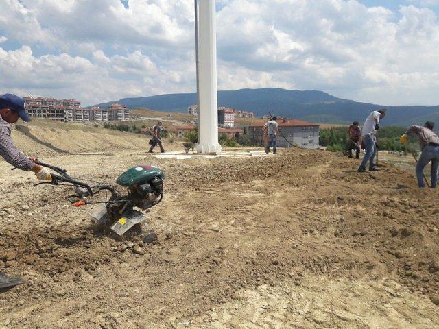 Safranbolu Belediyesi Çevre Düzenlemelerini Aralıksız Sürdürüyor