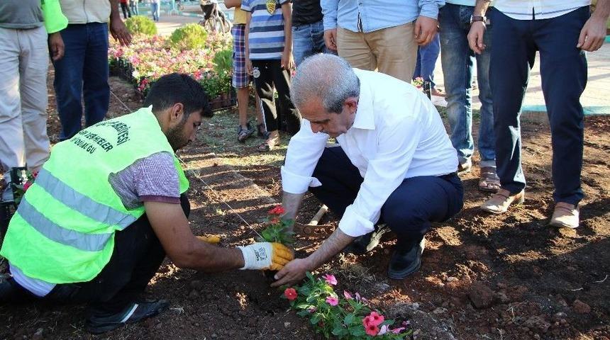 Halilye&rsquo;de Parklar &Ccedil;i&ccedil;eklerle Donatılıyor