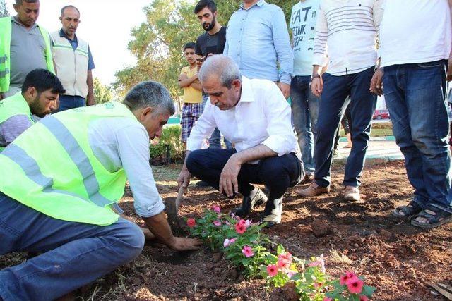 Halilye’de Parklar Çiçeklerle Donatılıyor