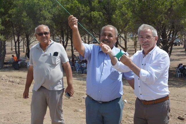 Aliağa’da Uçurtmalar Gökyüzünü Süsledi