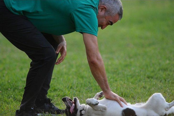 Samet Aybaba: “beşiktaş Maçı Zorlu Olacak” G2