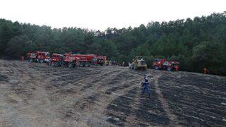 Bolu’da 2 Hektarlık Orman Arazisi Yangında Zarar Gördü