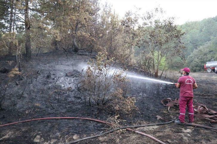 Bolu’da 2 Hektarlık Orman Arazisi Yangında Zarar Gördü G2