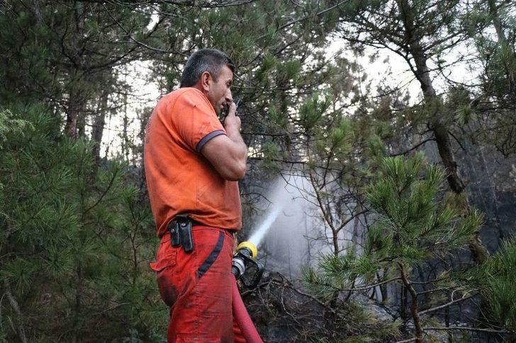 Bolu’da 2 Hektarlık Orman Arazisi Yangında Zarar Gördü G3