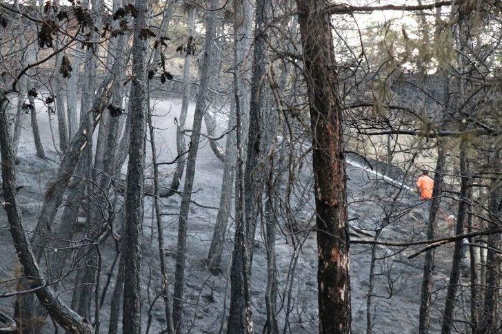 Bolu’da 2 Hektarlık Orman Arazisi Yangında Zarar Gördü G5