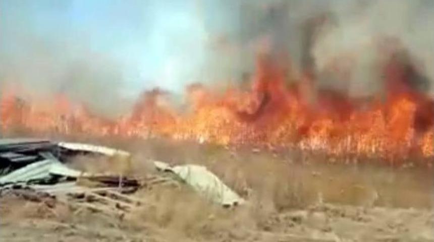 Hastane Arazisindeki Ot Yangını Korkuttu