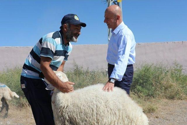 Kocasinan’da Kurban Bayramı Konforu