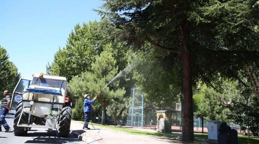Melikgazi&rsquo;de Ağa&ccedil; Ve Parklarda S&uuml;rekli İla&ccedil;lama