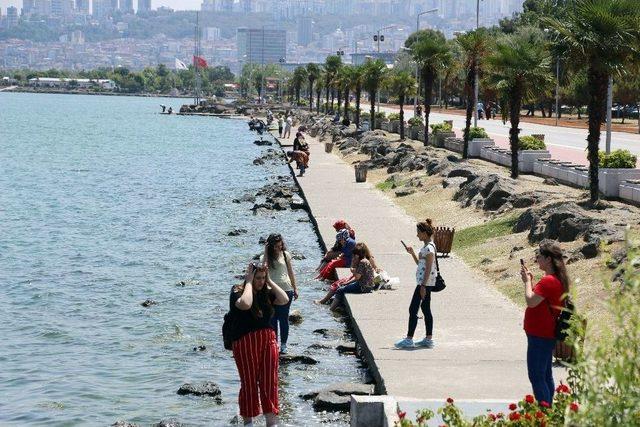 Samsun’a Kötü Koku Saçan Gemi Gitti, Şehir Nefes Aldı