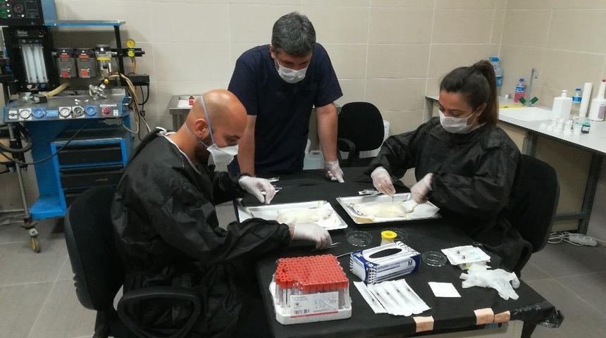 Düham Araştırmacıların Talepleri Doğrultusunda Çalışmalarına Devam Ediyor