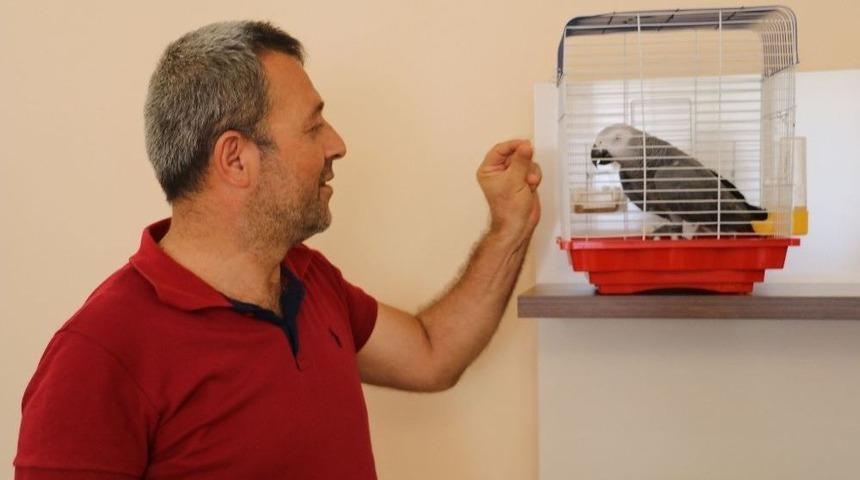 Cuma Namazına Giderken Bulduğu Papağanın S&ouml;yledikleri Karşısında Şoke Oldu