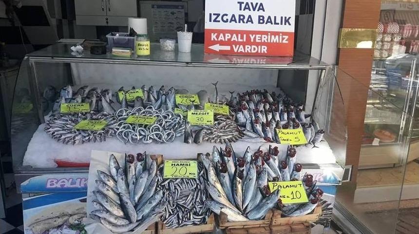 Sezonun İlk Palamutları Tezgahlarda Yerini Aldı