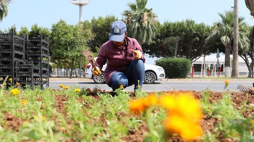 Mersin Caddeleri Mevsim &Ccedil;i&ccedil;ekleriyle Renkleniyor