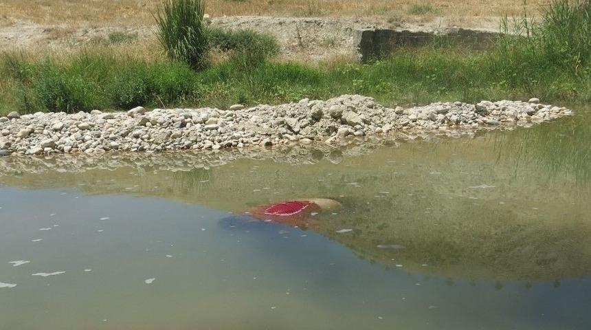 Cesedi Bulunan Erkek Şahsın Kimliği Belli Oldu