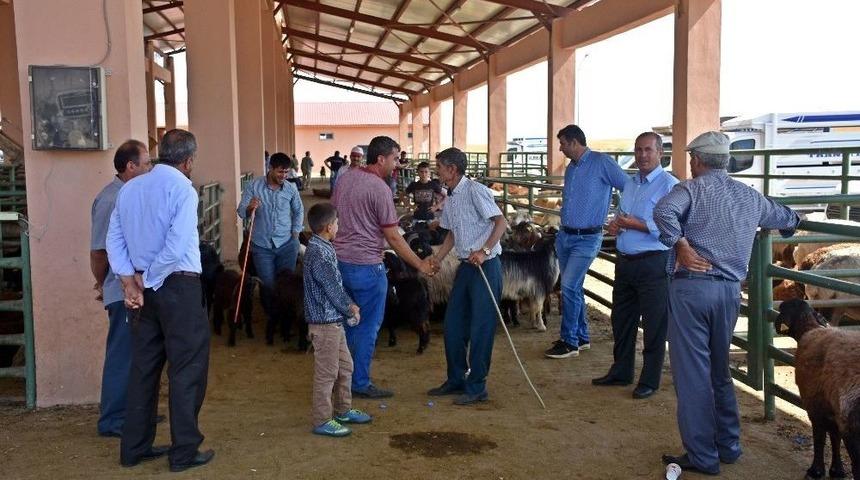 Hayvan Pazarında Bayram Hareketliliği