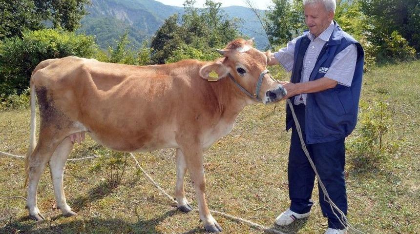 (&ouml;zel) Drone&rsquo;dan Korkan Ve Tepkileriyle Fenomen Olan Hasan Amca Konuştu: