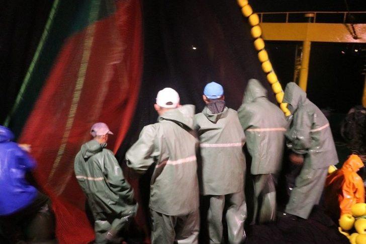 Yalova Ve Bursa’da Balıkçılar "vira Bismillah" Dedi Kasalar Hamsiyle Doldu G1