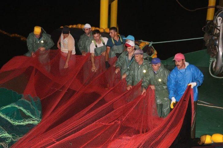 Yalova Ve Bursa’da Balıkçılar "vira Bismillah" Dedi Kasalar Hamsiyle Doldu G2