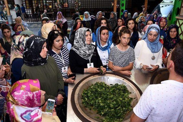 Vanlı Kadınlar, Karadeniz’in Güzellikleriyle Buluştu