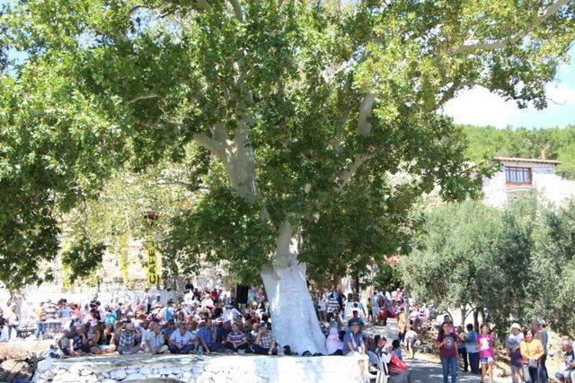 29. Güre-sarıkız Hayrı Pazar Günü Yapılacak