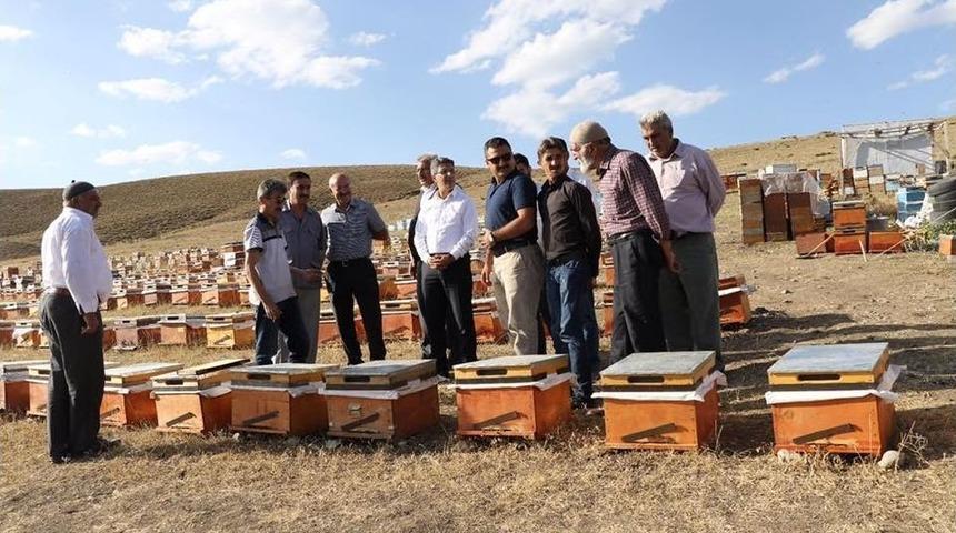 Ağrı&rsquo;da Arı Kovanları Dağıtıldı