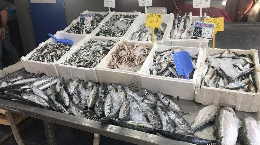 Tezgâhlar Balık Çeşitleriyle Şenlendi