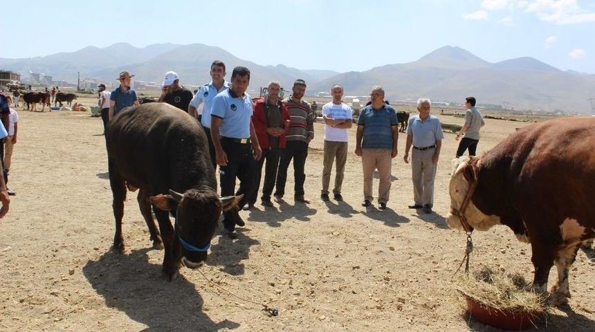 Aziziye&rsquo;de Kurban Bayramı Hazırlığı
