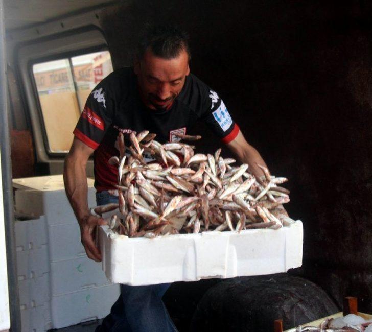 Sezon Açıldı, Vatandaş Balığa Hücum Etti G2