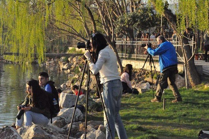 Güneşin Suya Kavuştuğu An Böyle Görüntülendi G2