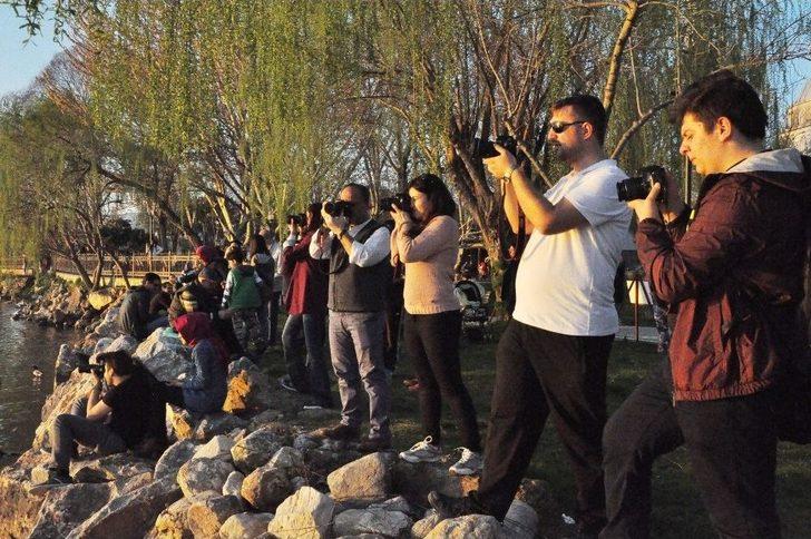 Güneşin Suya Kavuştuğu An Böyle Görüntülendi G4