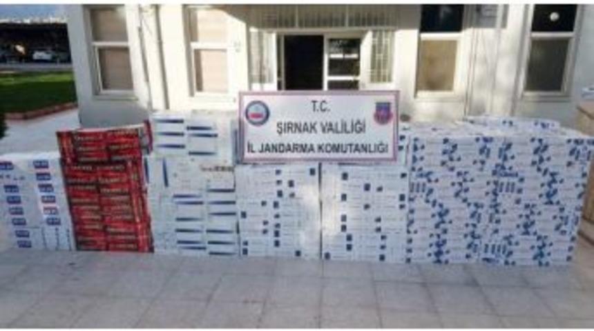 Şırnak’ta 27 Bin 110 Paket Kaçak Sigara Ele Geçirildi