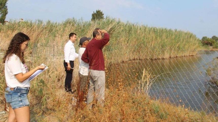 Kuşadası&rsquo;nın Tek Sulak Alanı Kocag&ouml;l Mahalli Sulak Alanı İlan Edilecek