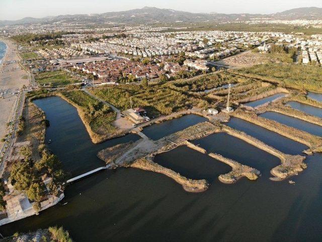 Kuşadası’nın Tek Sulak Alanı Kocagöl Mahalli Sulak Alanı İlan Edilecek