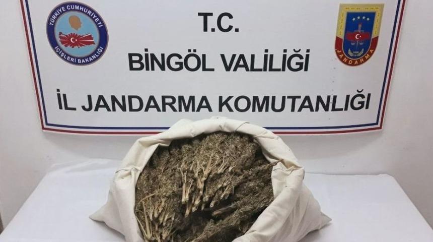 Bing&ouml;l&rsquo;de 10 Kilogram Esrar Ele Ge&ccedil;irildi