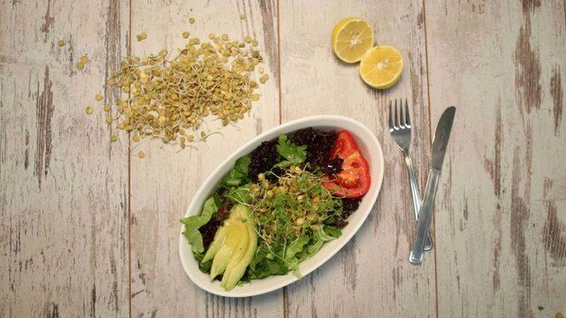 Mercimek Filizli Salata (230 Kalori)