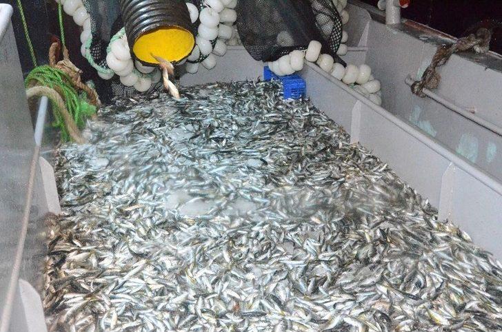 Silivrili Balıkçılar “vira Bismillah” Dedi G3