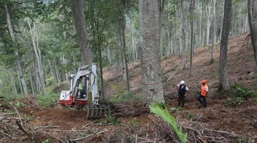 Kırklareli’nde Gençleştirme Çalışmalarına Başlandı