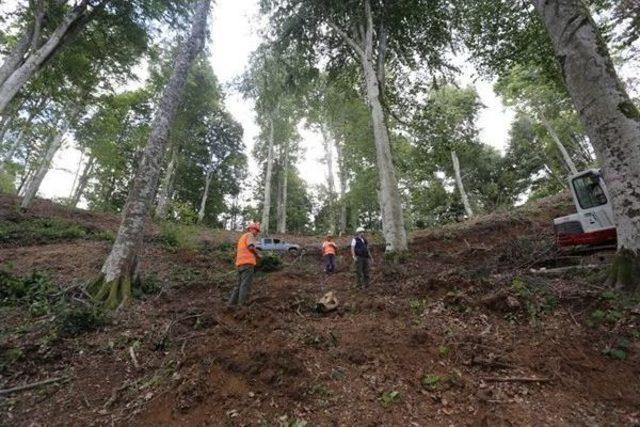 Kırklareli’nde Gençleştirme Çalışmalarına Başlandı