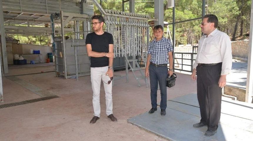 Veteriner İşleri Müdürlüğünden Hayvan Kesim Yerlerinde Denetim