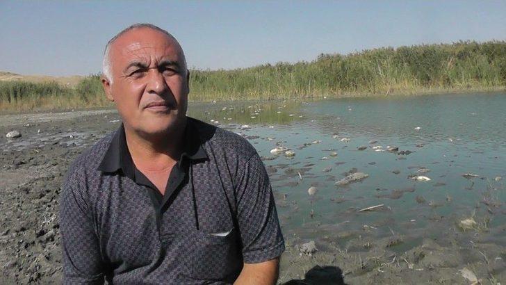 Gölge Korkutan Balık Ölümleri G5