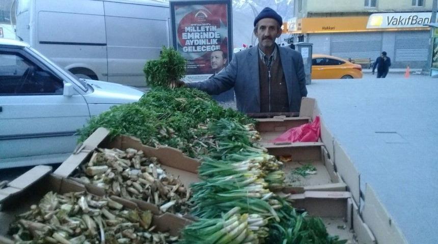 Hakkari&rsquo;de Pancar Mevsimi Başladı