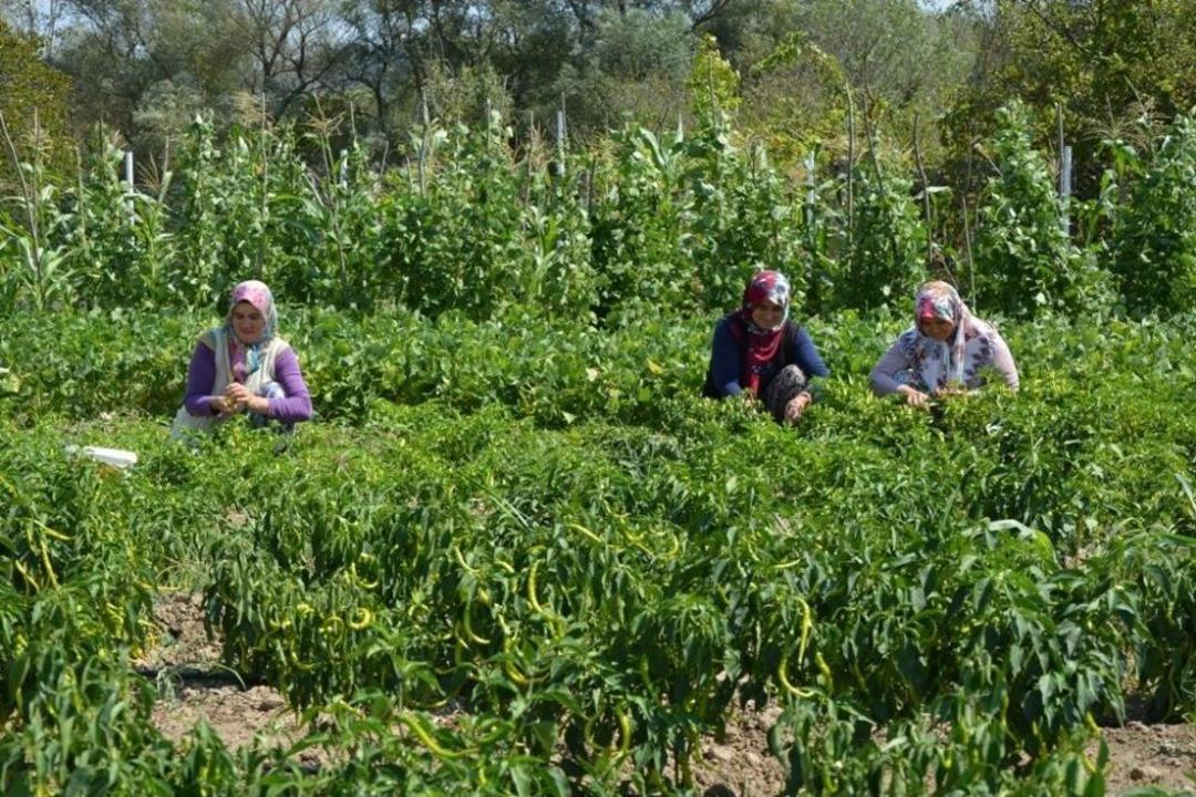 Başkan Tatlıoğlu&rsquo;ndan Y&ouml;re Kadınlarına İstihdam Desteği