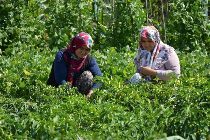 Başkan Tatlıoğlu’ndan Yöre Kadınlarına İstihdam Desteği G1