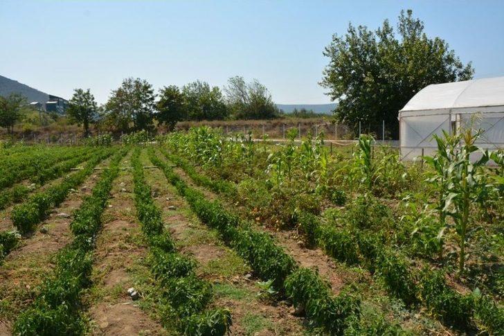 Başkan Tatlıoğlu’ndan Yöre Kadınlarına İstihdam Desteği G2